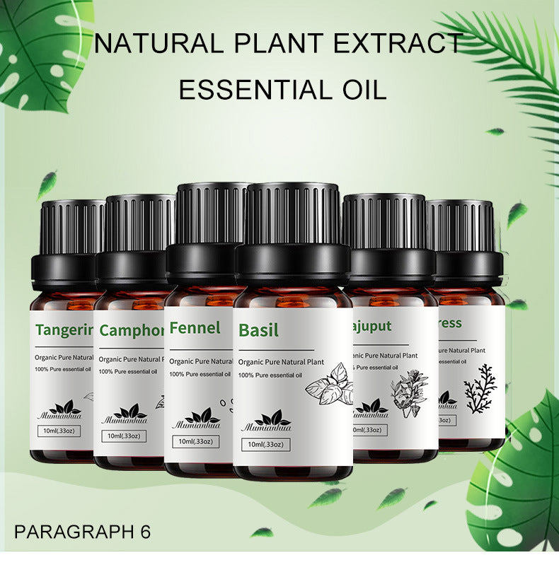6-Piece Pure Essential Oils Set – Premium Plant-Based Aromatherapy Collection
