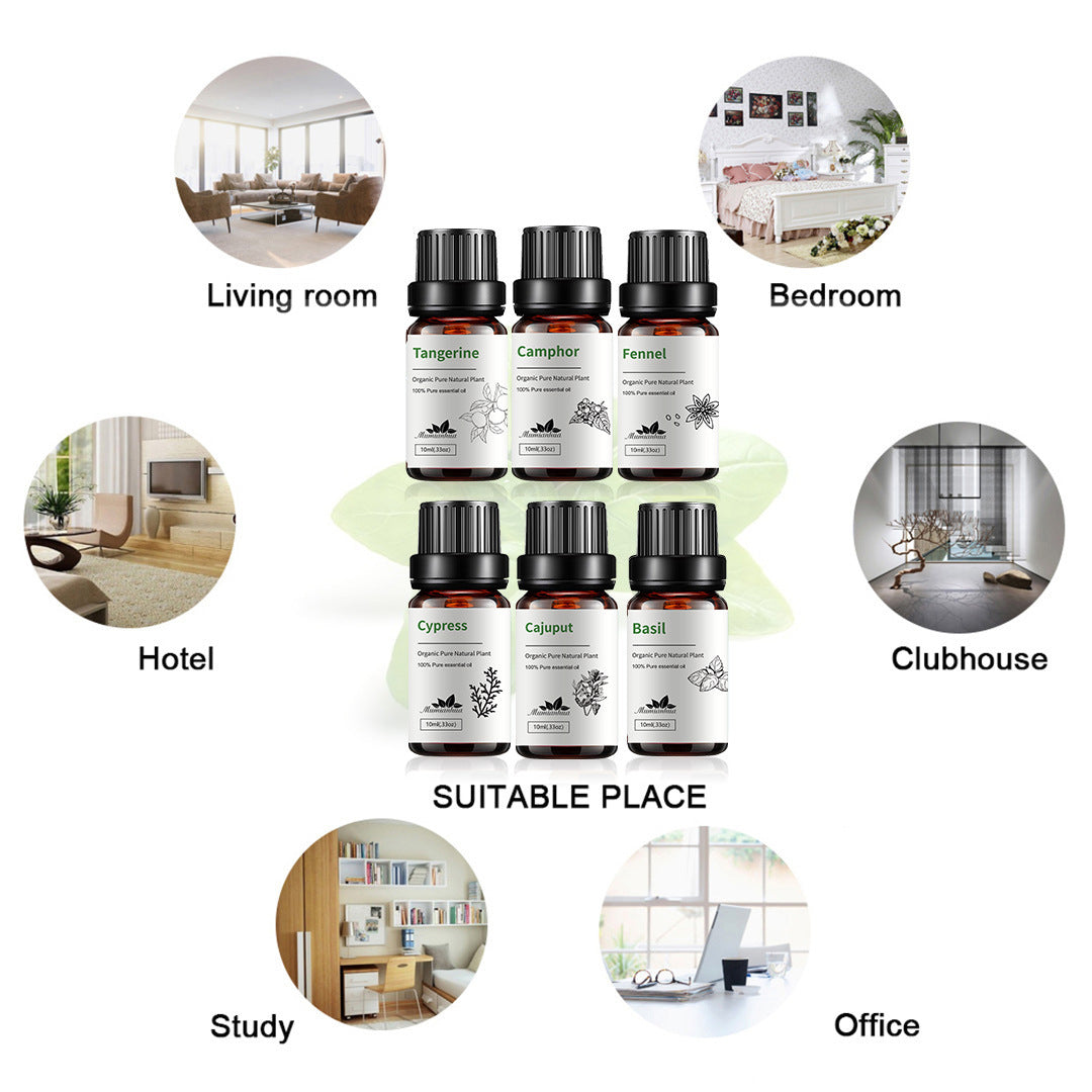 6-Piece Pure Essential Oils Set – Premium Plant-Based Aromatherapy Collection