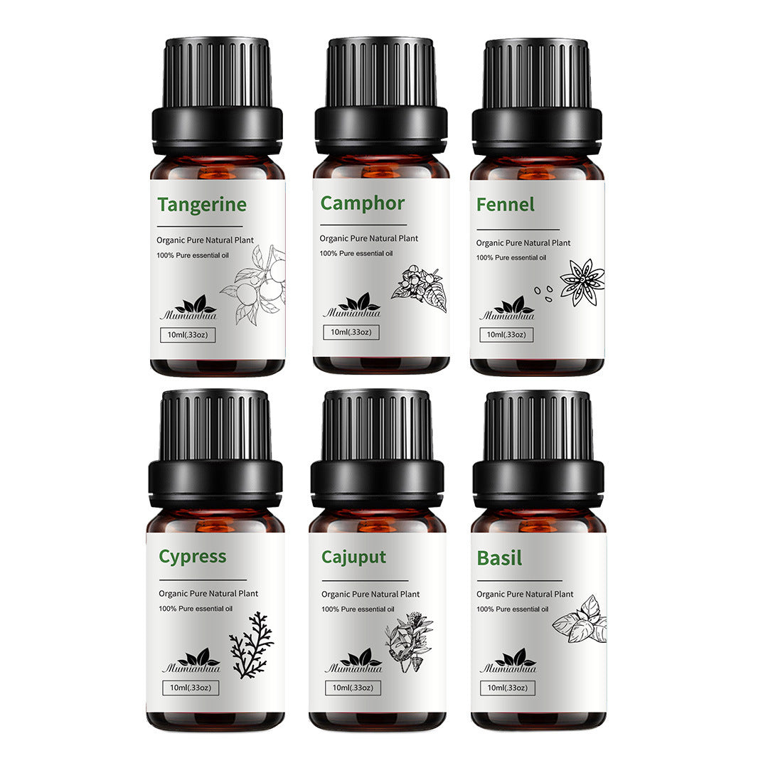 6-Piece Pure Essential Oils Set – Premium Plant-Based Aromatherapy Collection