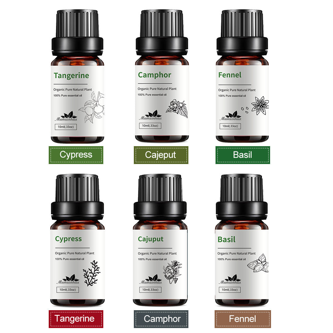 6-Piece Pure Essential Oils Set – Premium Plant-Based Aromatherapy Collection