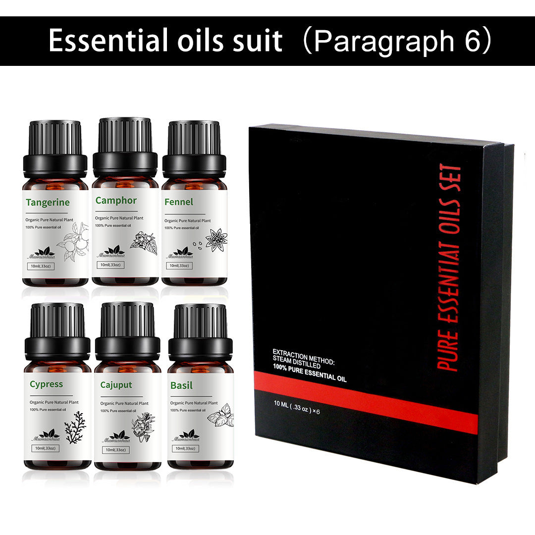 6-Piece Pure Essential Oils Set – Premium Plant-Based Aromatherapy Collection